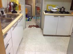Hillview Regency (D23), Condominium #128932562